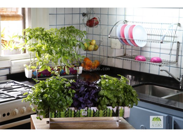 Una huerta hidropónica deja las aromáticas a mano para cocinar.